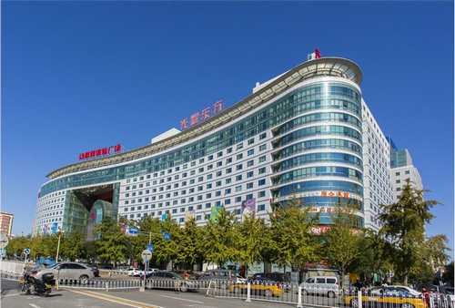 怀化有哪些猫粮零食营养品常见问题